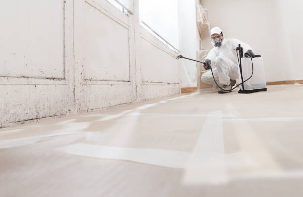 24/7 Emergency Mold Remediation experts in Hudson, IL
