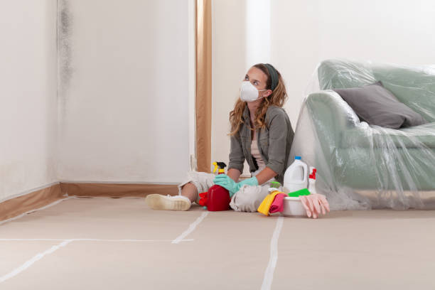 Reliable Mold Remediation contractor in Hudson, IL by WQB Mold Removal